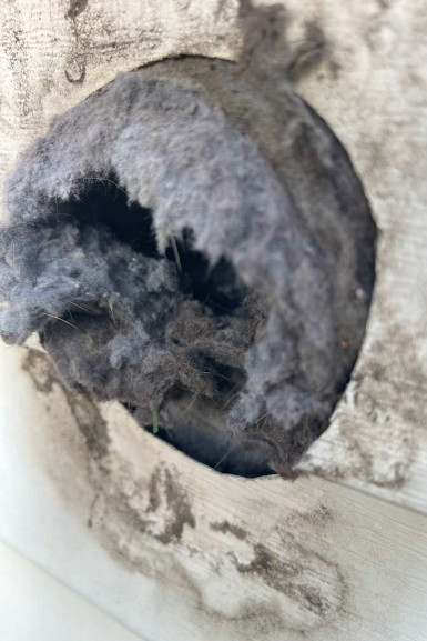 1 Day Dryer Vent Service about